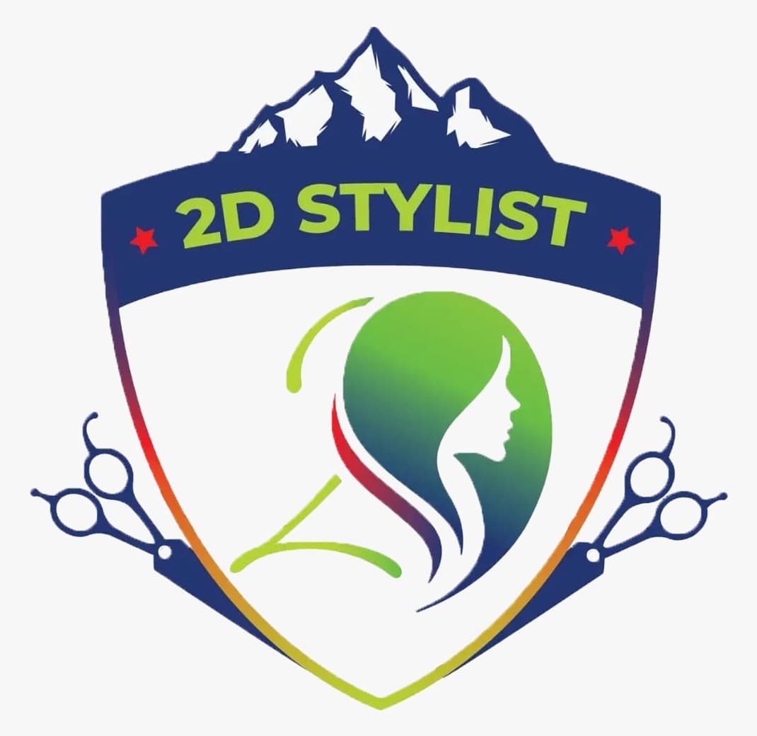 2D Stylist